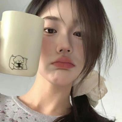 少女骑士物语